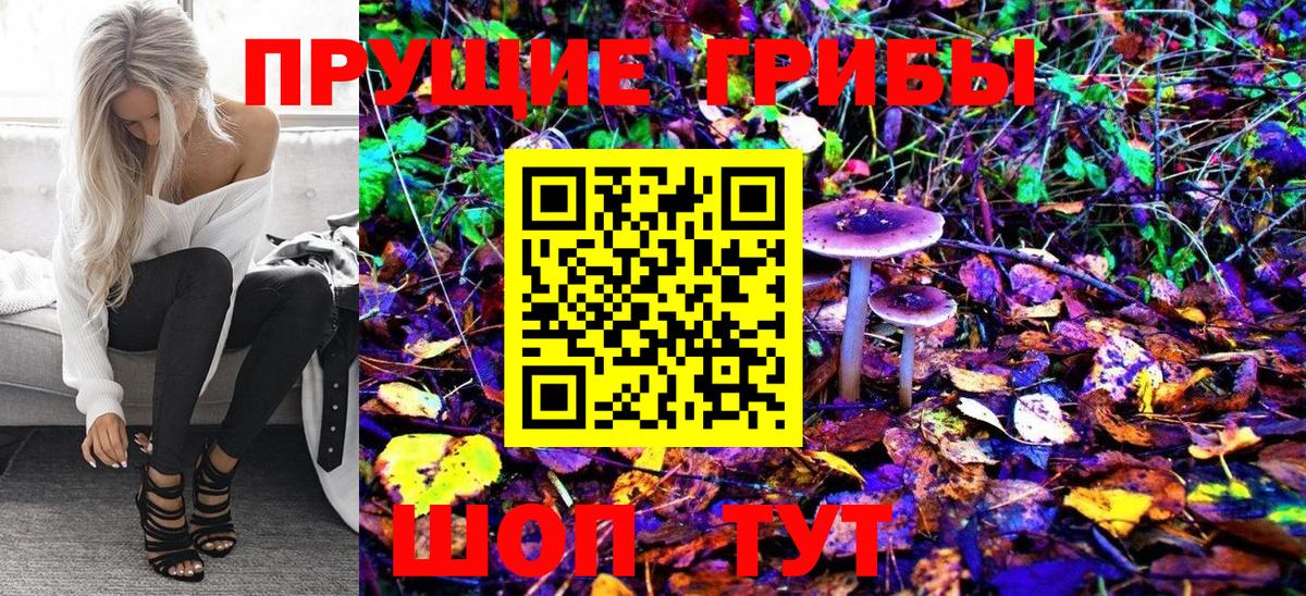 Канаш  Галлюциногенные грибы GOLDEN TEACHER  Вход с VPN 